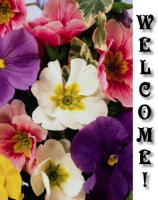 Welcome Image